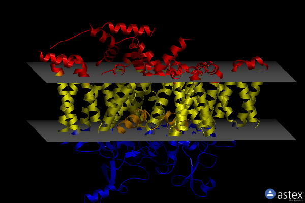 Membrane view of 8f0r