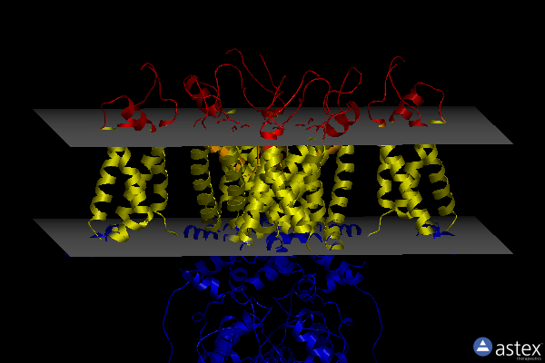 Membrane view of 8f1d
