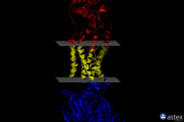 Membrane view of 8f2b