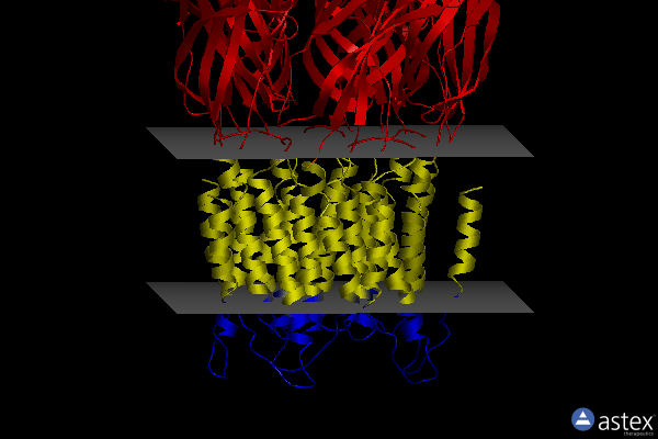 Membrane view of 8f32