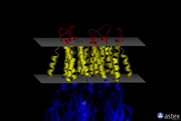 Membrane view of 8f34