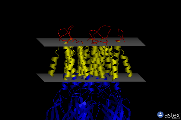 Membrane view of 8f35