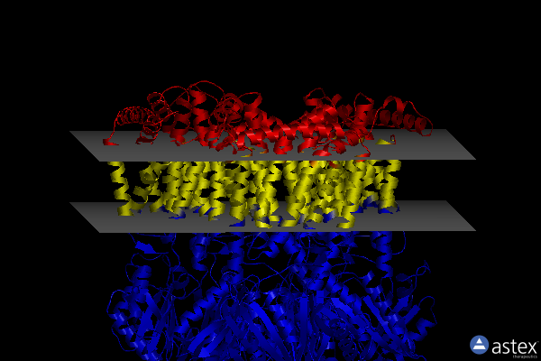 Membrane view of 8f3e