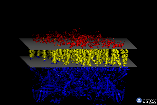 Membrane view of 8f4c
