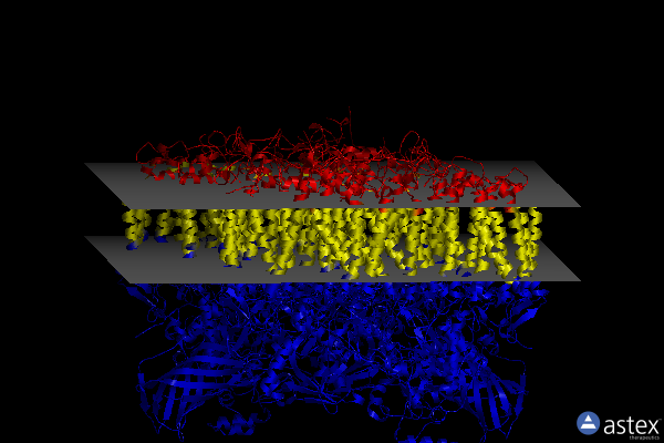 Membrane view of 8f4h