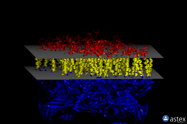 Membrane view of 8f4i