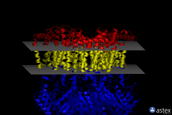 Membrane view of 8f4r