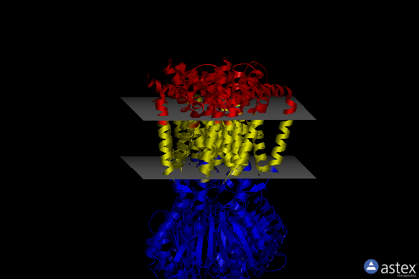Membrane view of 8f56