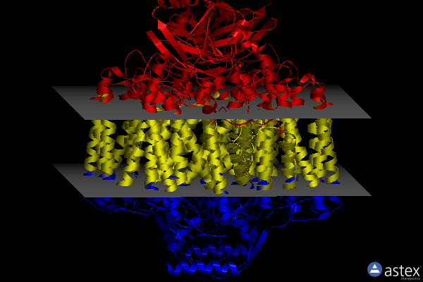 Membrane view of 8f6c