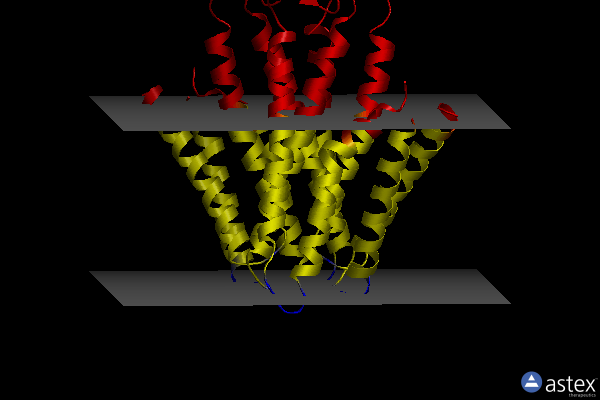 Membrane view of 8f6f