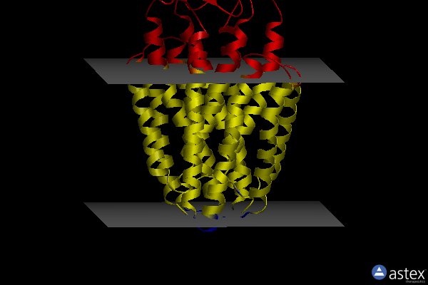 Membrane view of 8f6j