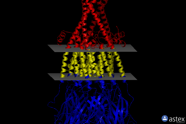 Membrane view of 8f6y
