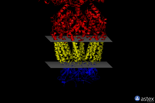 Membrane view of 8f79