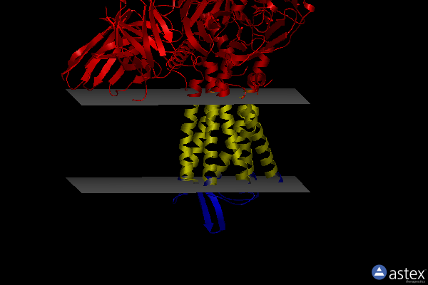 Membrane view of 8f7w