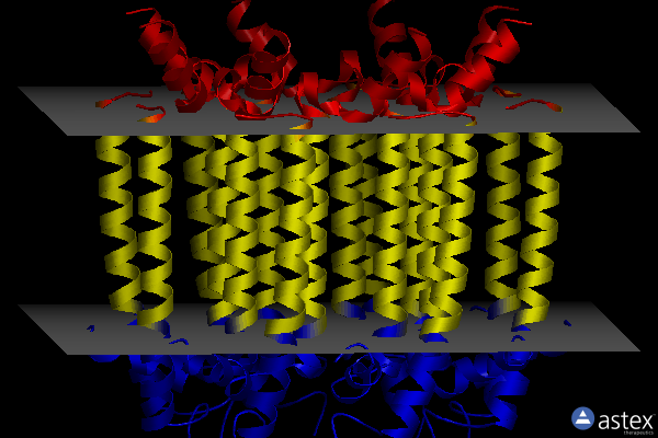 Membrane view of 8fb9
