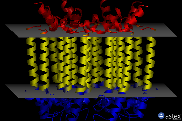 Membrane view of 8fbb
