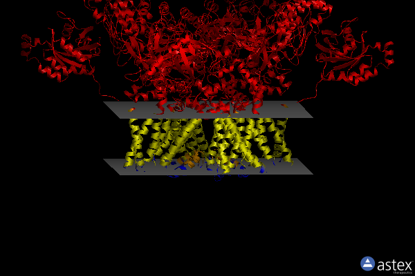 Membrane view of 8fc9