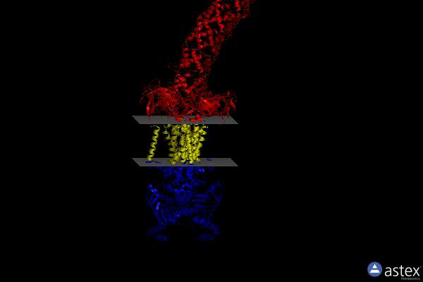 Membrane view of 8fee