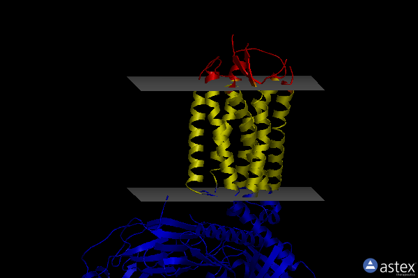Membrane view of 8feg
