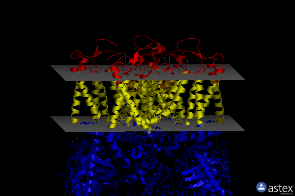 Membrane view of 8ffn