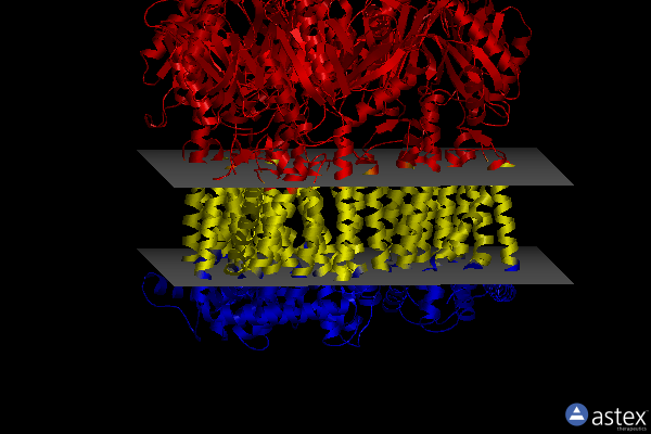 Membrane view of 8ffs