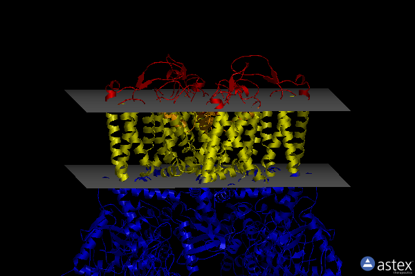 Membrane view of 8fhh