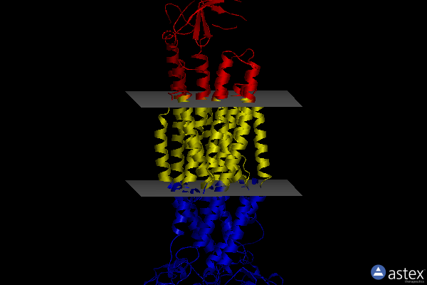 Membrane view of 8fhk