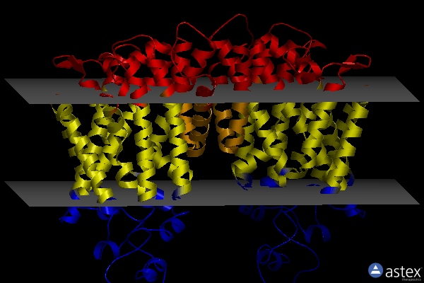 Membrane view of 8fht