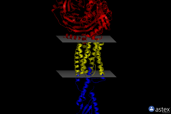 Membrane view of 8flu