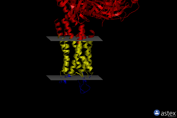 Membrane view of 8fn1