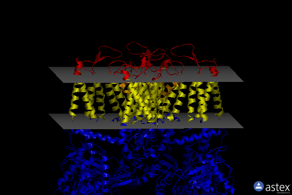 Membrane view of 8fob