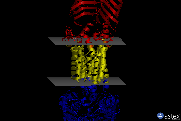 Membrane view of 8frm