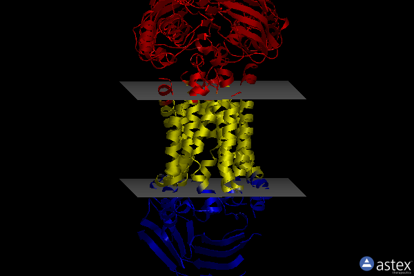 Membrane view of 8frn