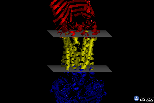 Membrane view of 8fro