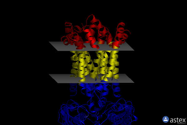 Membrane view of 8frp