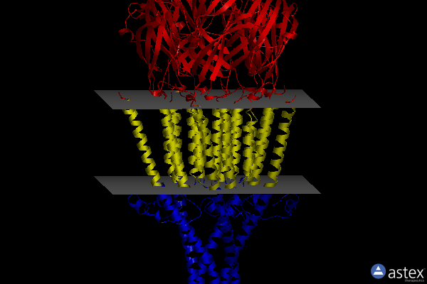 Membrane view of 8frx