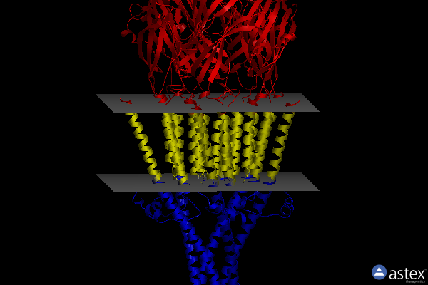 Membrane view of 8frz