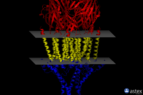 Membrane view of 8fsp