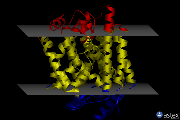 Membrane view of 8ft4