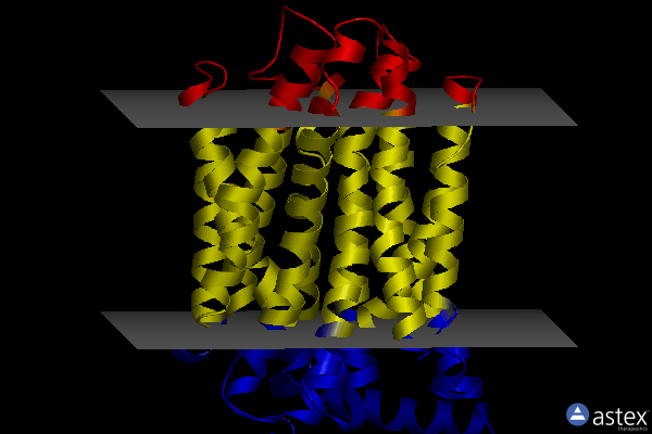 Membrane view of 8fvz