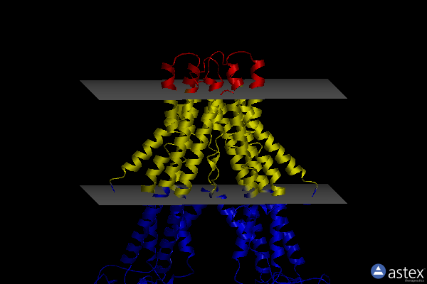 Membrane view of 8fwk