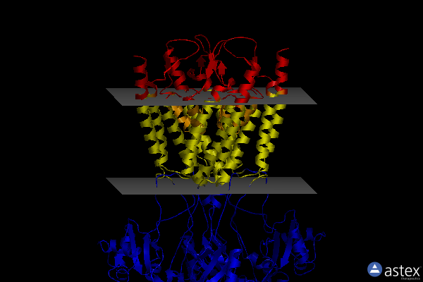 Membrane view of 8fws