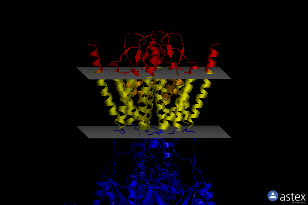 Membrane view of 8fwu