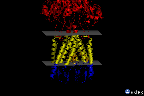 Membrane view of 8fww