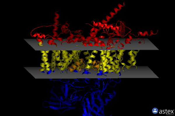 Membrane view of 8g1a