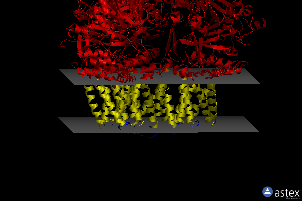 Membrane view of 8g2j