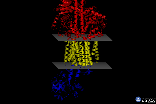 Membrane view of 8g3f
