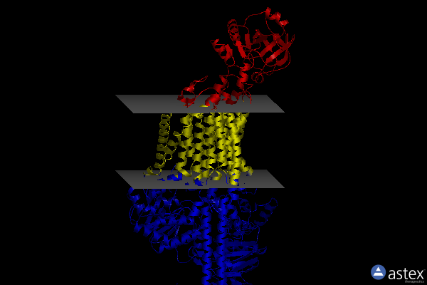 Membrane view of 8g3l