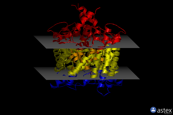 Membrane view of 8ga1