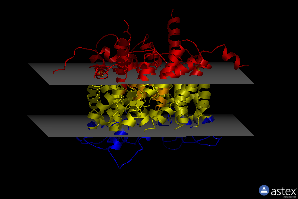 Membrane view of 8ga3